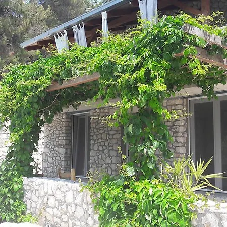 Venta
